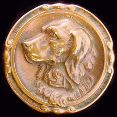 Irish Setter