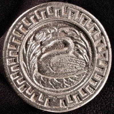Swan