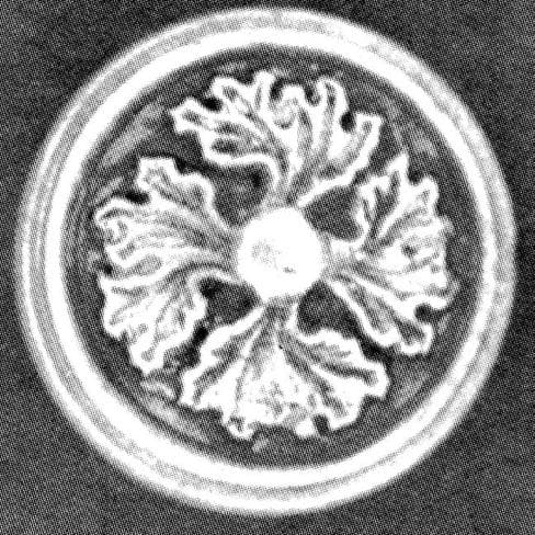 View 1