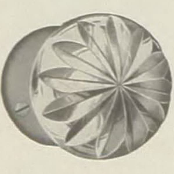 R-42720
Penn1915 384