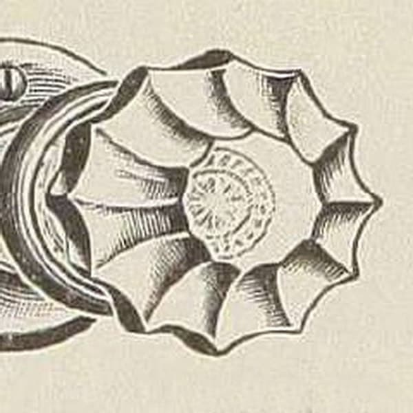 R-68010